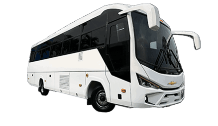 Bus MS 4.4 - imagen 3