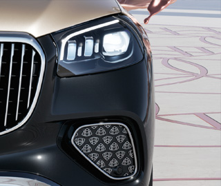 Mercedes-Maybach GLS - imagen 8