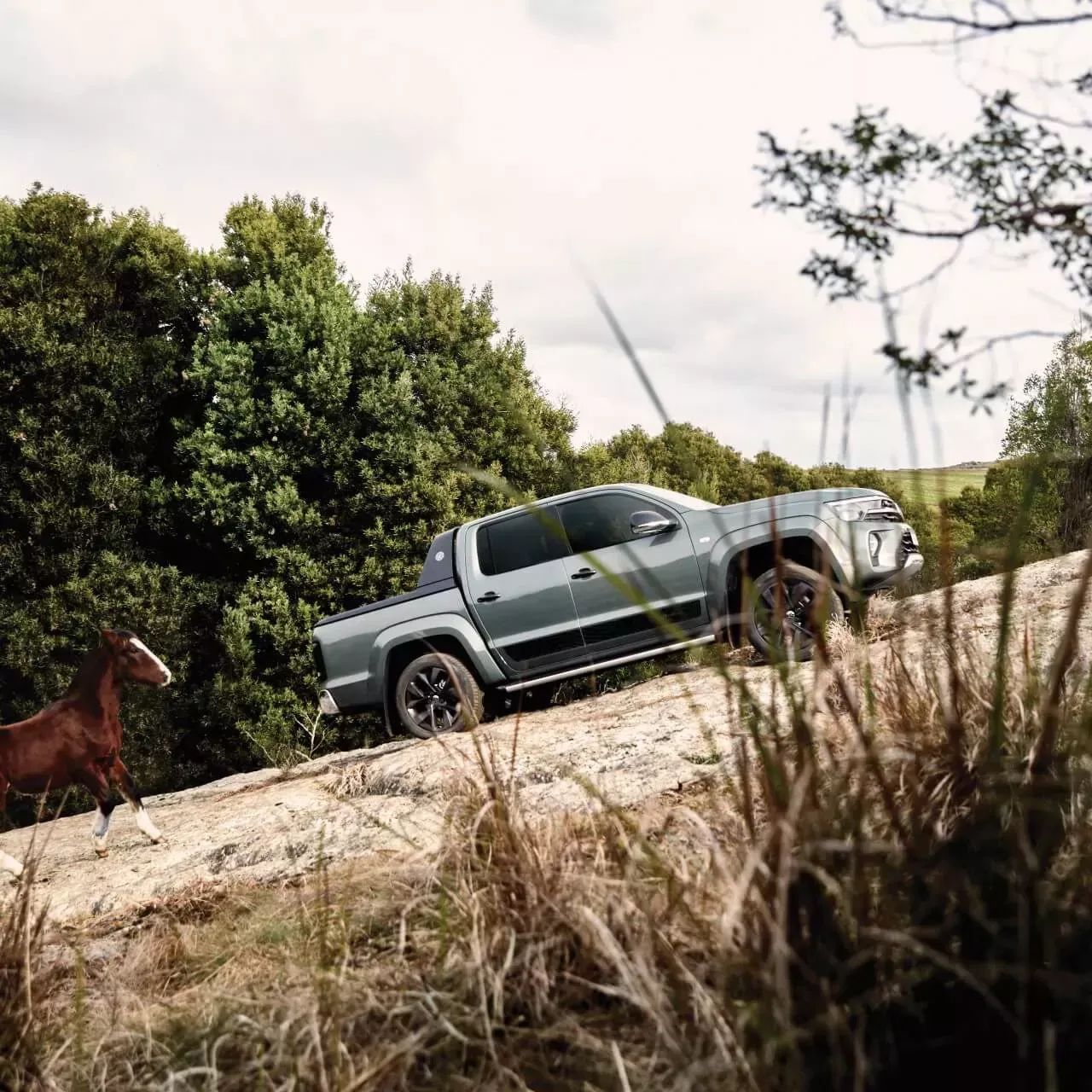 Amarok - imagen 6