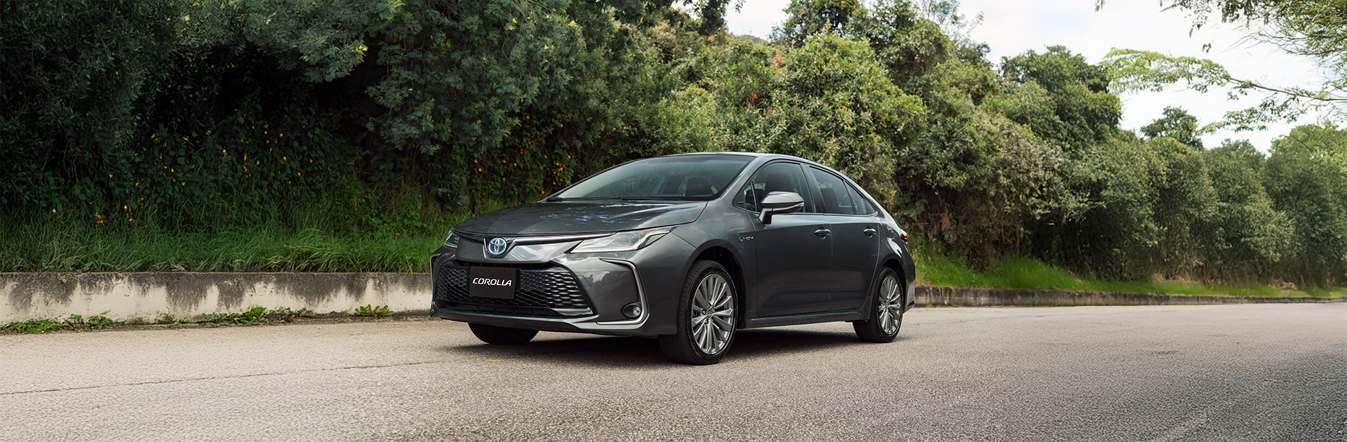 Corolla - imagen principal