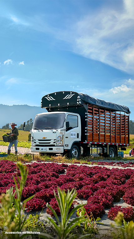 Camión NPR - imagen principal