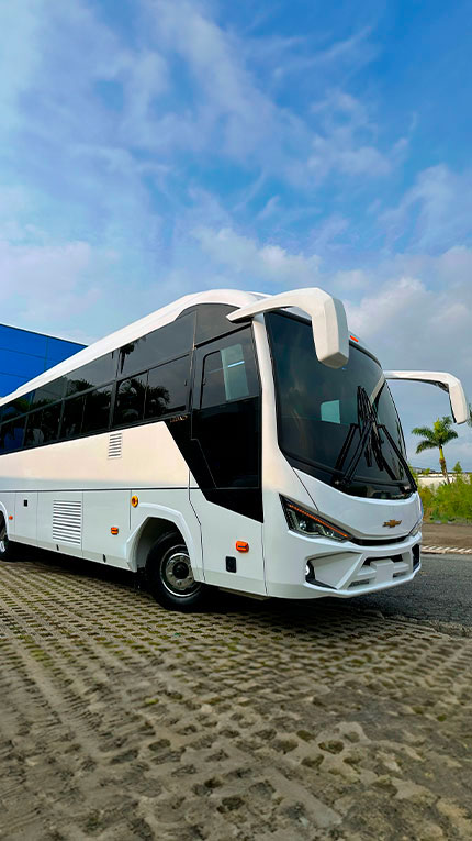 Bus MS 4.9 - imagen principal