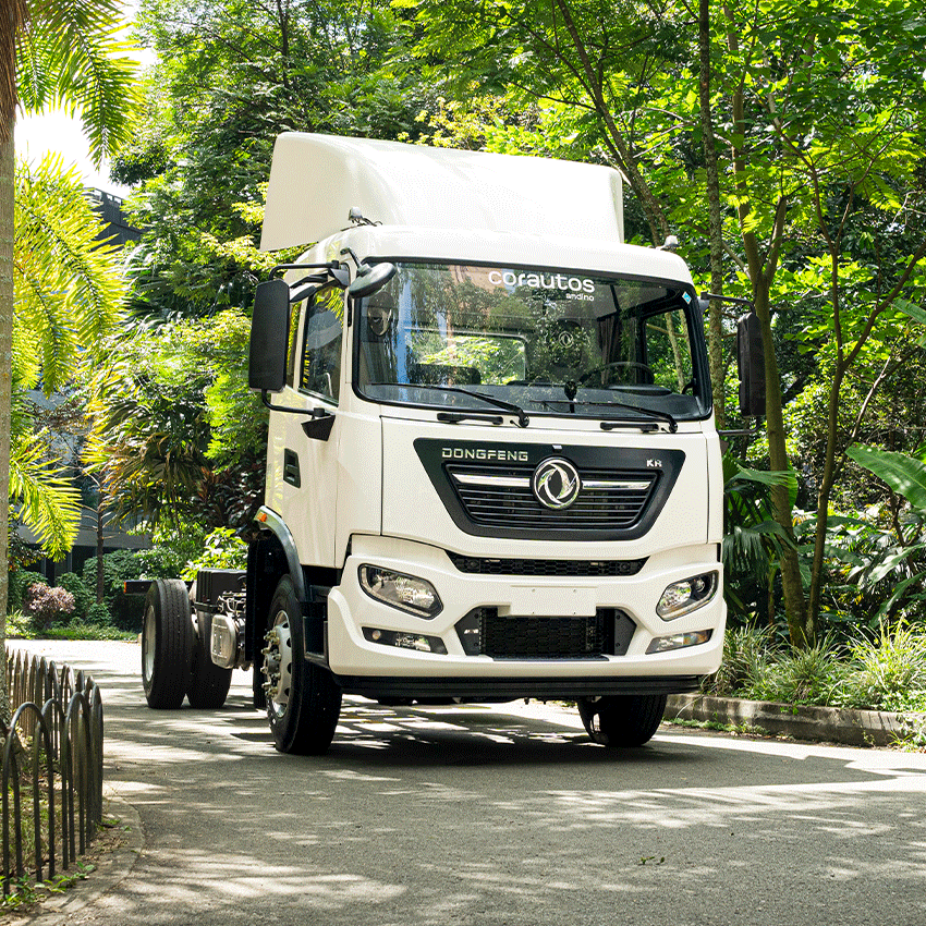 DFVR AMT - imagen principal