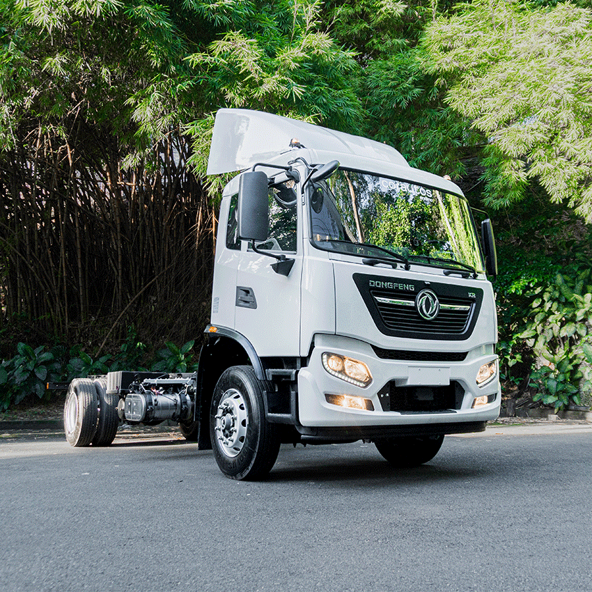 DFVR MT XL - imagen principal