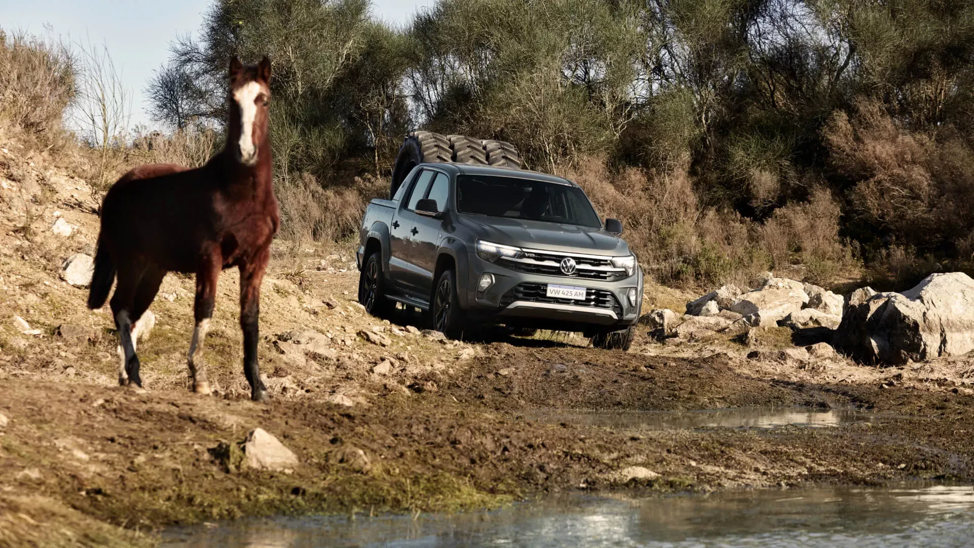 Amarok - imagen principal