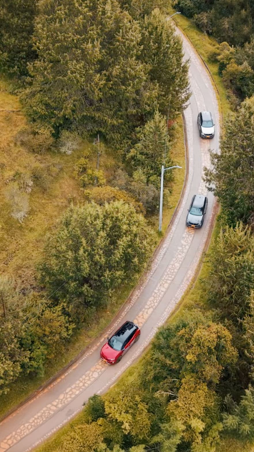 2008 Hybrid - imagen 11