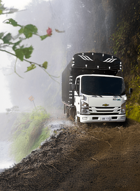 Camión NPS 4x4 - imagen principal