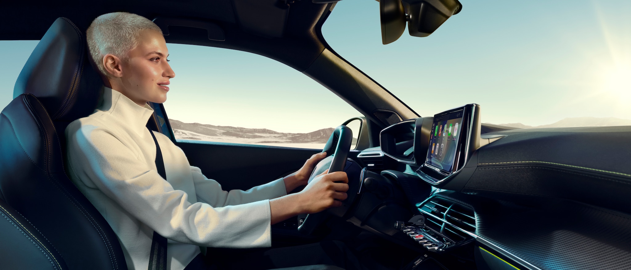 2008 Hybrid - imagen 4