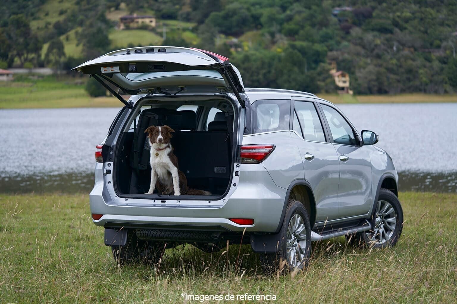 Fortuner - imagen 6