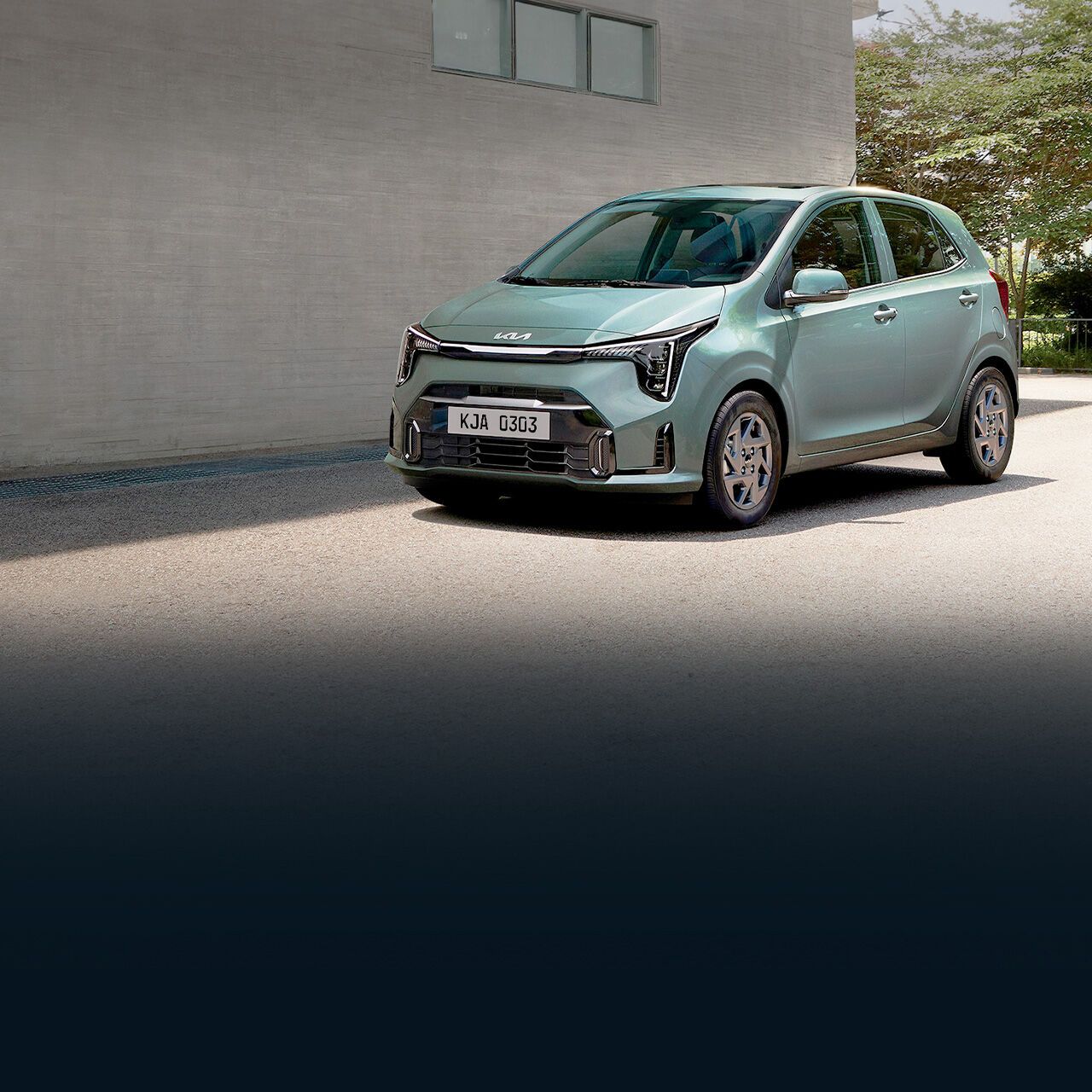 Picanto - imagen 3