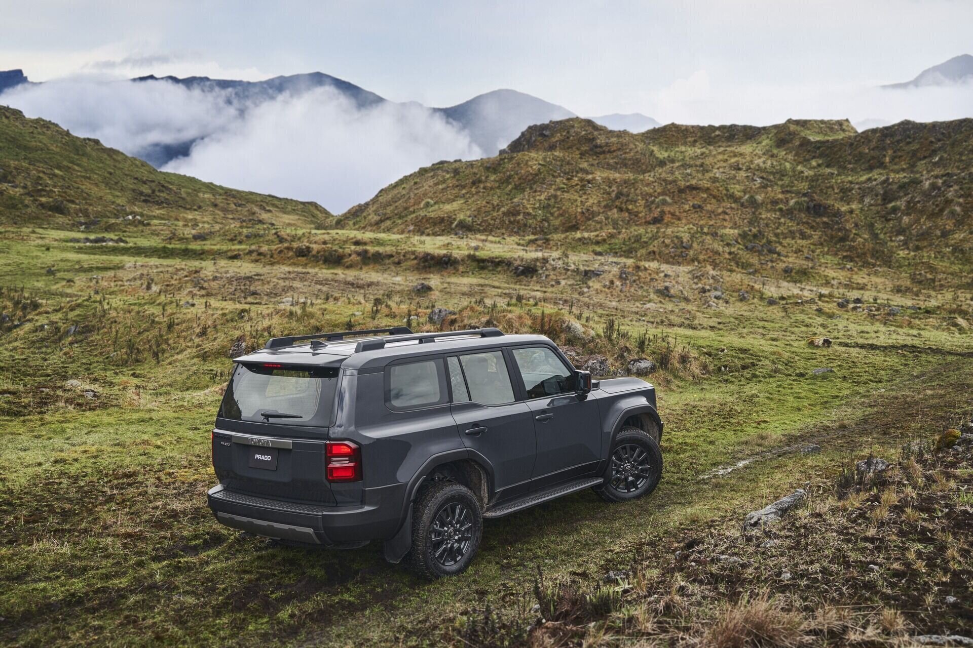 Land Cruiser Prado - imagen 8