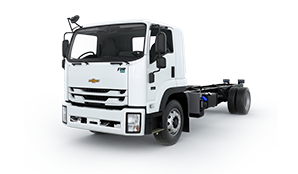 Camión FVR Largo - imagen 6