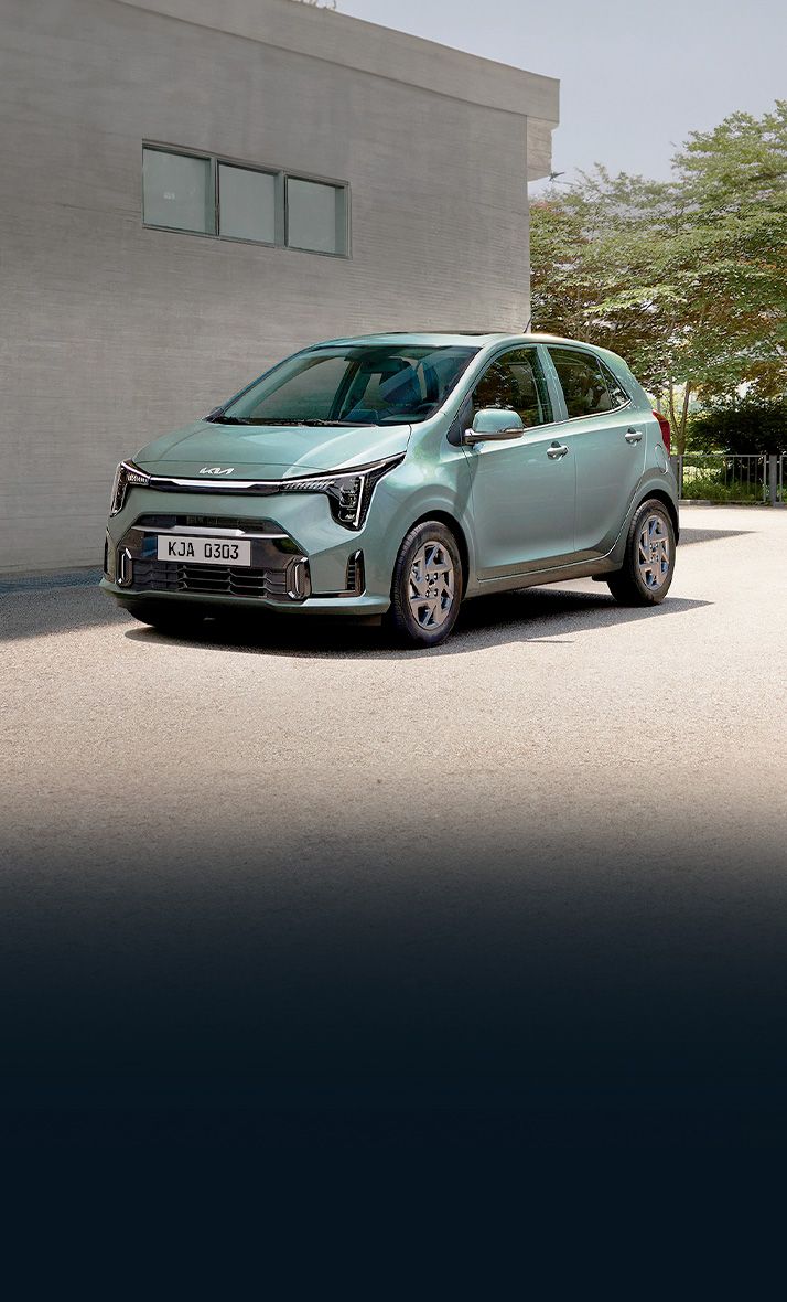 Picanto - imagen 1