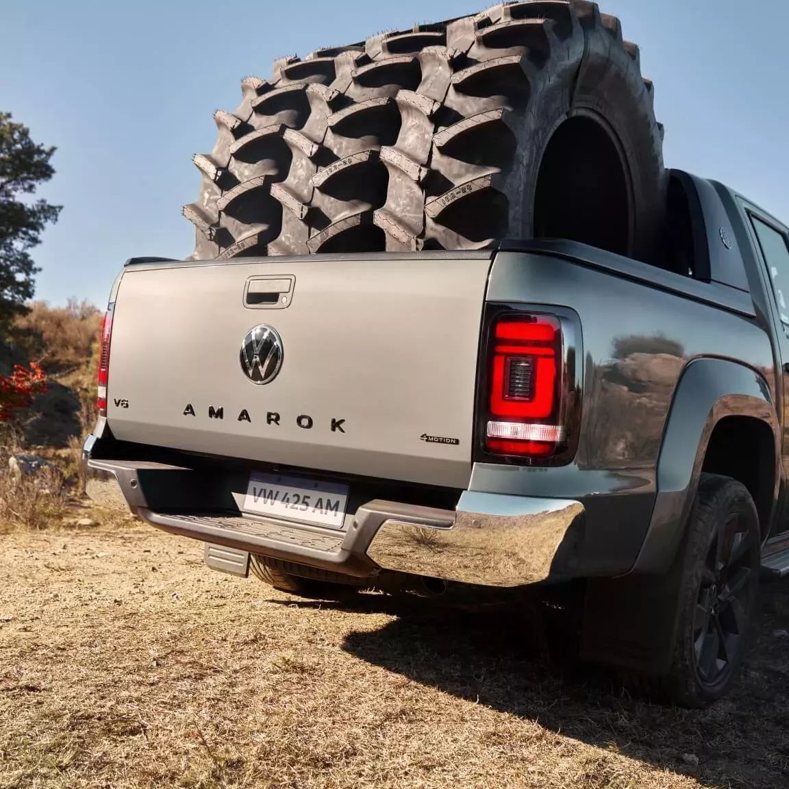 Amarok - imagen 4