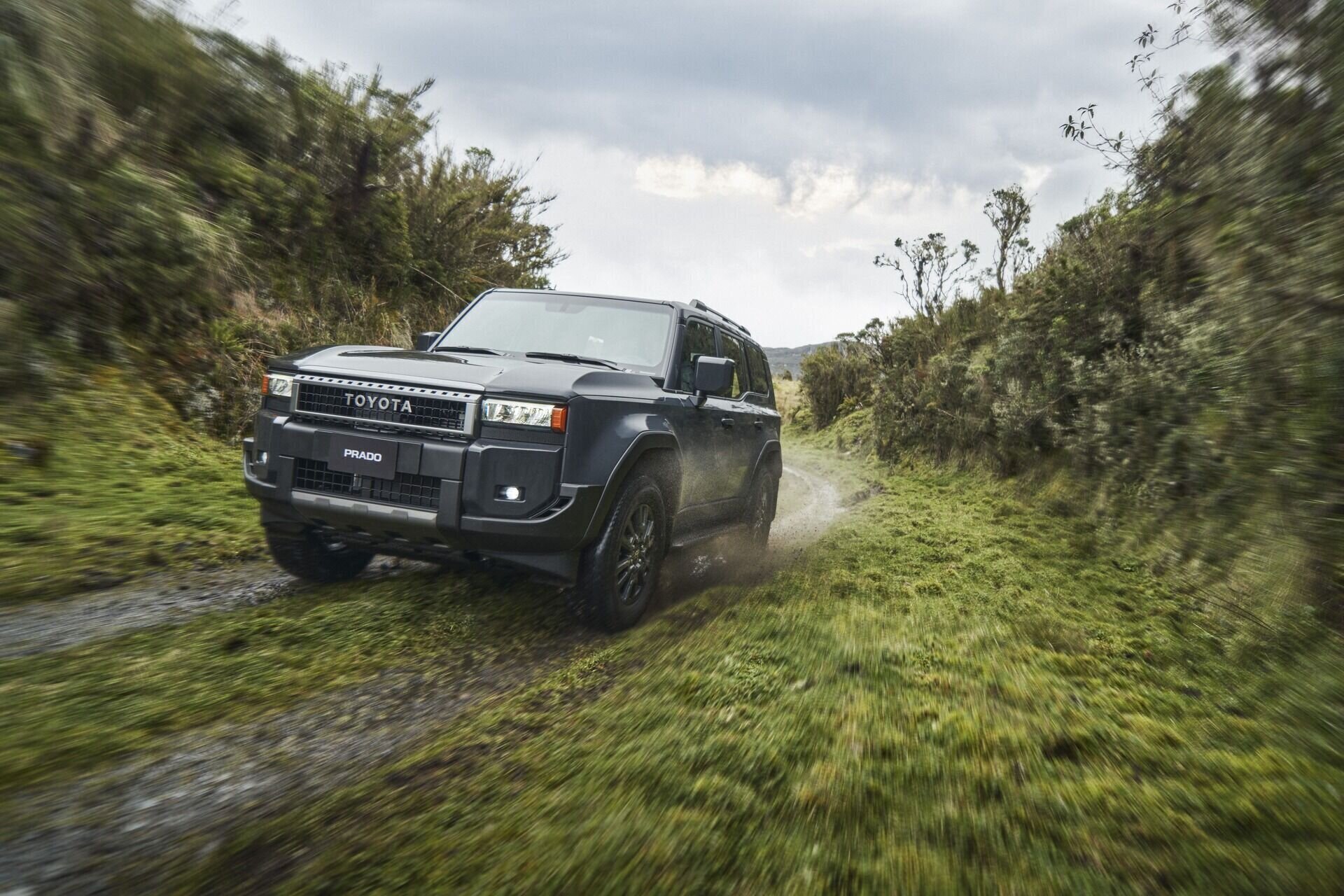 Land Cruiser Prado - imagen 9