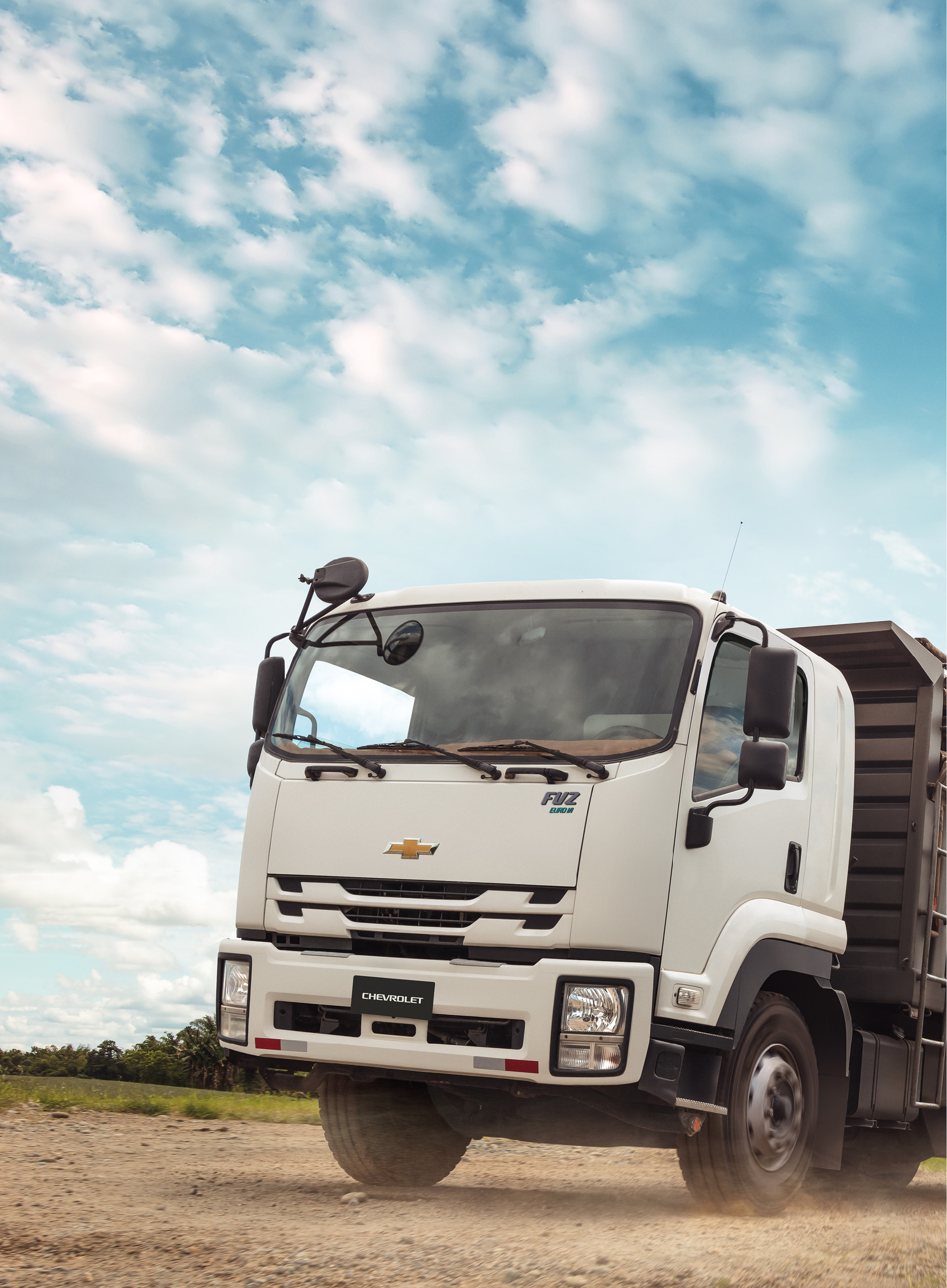 Camión FVZ Largo - imagen principal