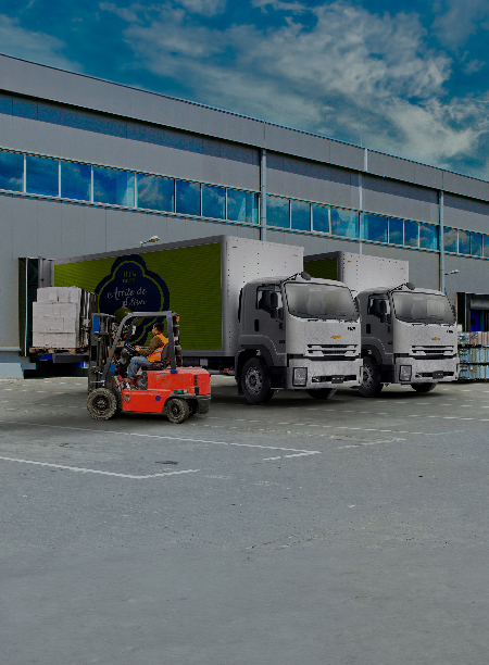 Camión FVR X-Long - imagen principal